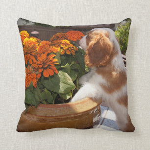 Cavalier King Charles Spaniel Puppy Smells Flowers Kussen