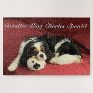 Cavalier King Charles Spaniel Puzzle Legpuzzel