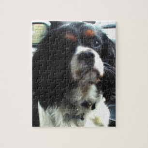 Cavalier King Charles Spaniel Puzzle Legpuzzel