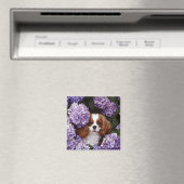 Cavalier King Charles Spaniel Red en White Magneet (Insitu (Vaatwasser))