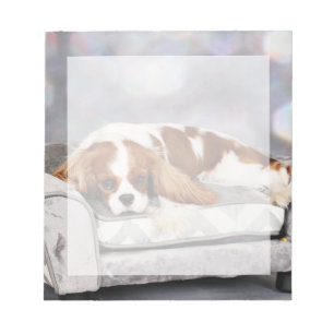 Cavalier King Charles Spaniel - Remington Notitieblok