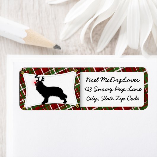 Cavalier King Charles Spaniel Rendier Kerstmis Etiket (Insitu)