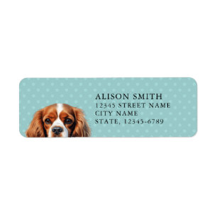 Cavalier King Charles Spaniel Retouradreslabel Etiket