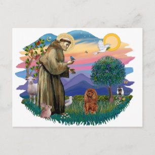 Cavalier King Charles Spaniel (robijn) Briefkaart