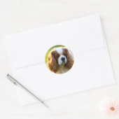 Cavalier King Charles Spaniel Ronde Sticker (Envelop)