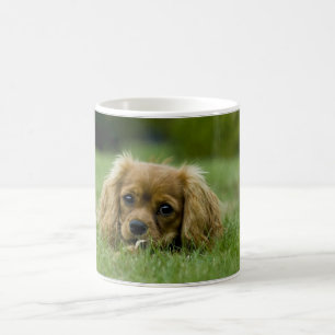 Cavalier King Charles Spaniel Ruby Koffiemok
