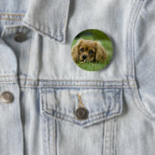 Cavalier King Charles Spaniel Ruby Ronde Button 5,7 Cm (In situ)