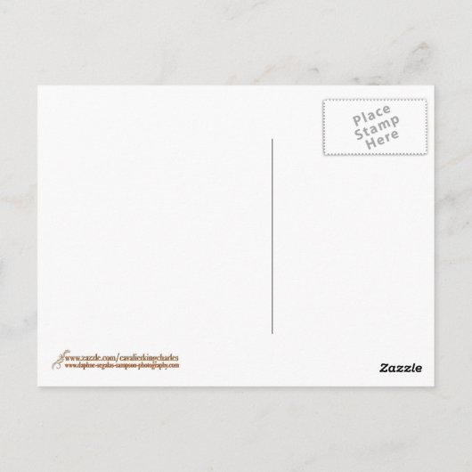 Cavalier King Charles Spaniel Running Briefkaart (Achterkant)