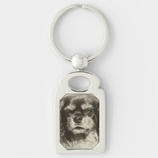 Cavalier King Charles Spaniel Sleutelhanger (Voorkant)