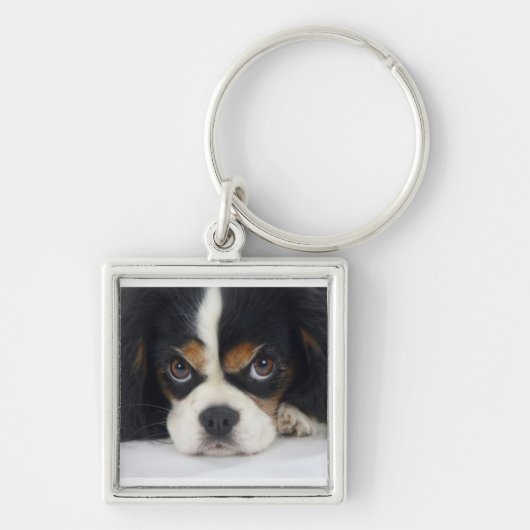 Cavalier King Charles Spaniel Sleutelhanger Tri-Co (Voorkant)
