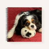 Cavalier King Charles Spaniel Small Notebook Notitieboek (Voorkant)