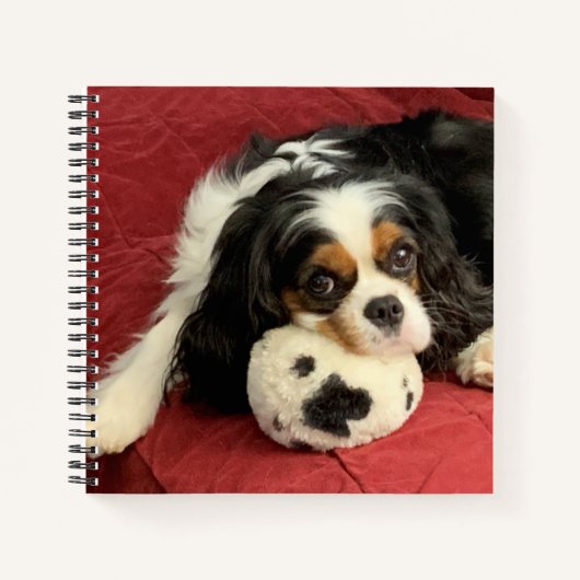 Cavalier King Charles Spaniel Small Notebook Notitieboek (Voorkant)