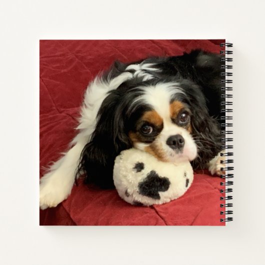 Cavalier King Charles Spaniel Small Notebook Notitieboek (Achterkant)