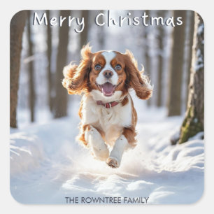 Cavalier King Charles Spaniel Sneeuw Prettig Kerst Vierkante Sticker