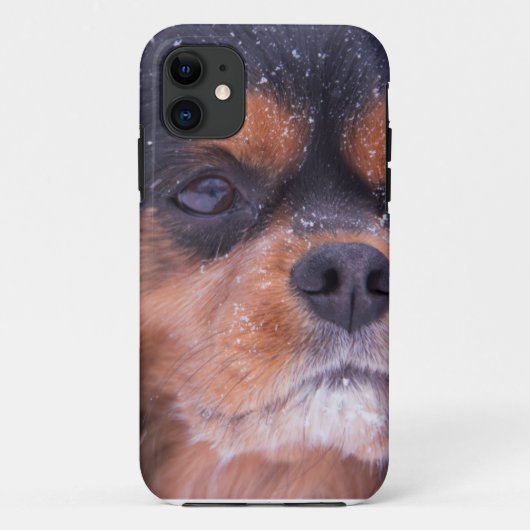 Cavalier King Charles Spaniel Sneeuwvlok Case-Mate iPhone Case (Achterkant)