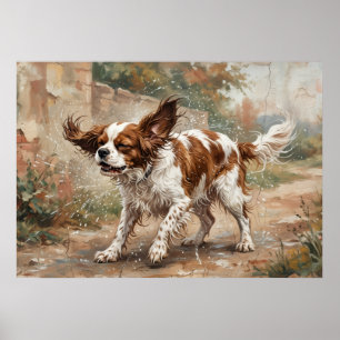Cavalier King Charles Spaniel speelt in de tuin Poster