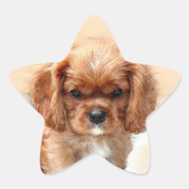 Cavalier King Charles Spaniel Ster Sticker
