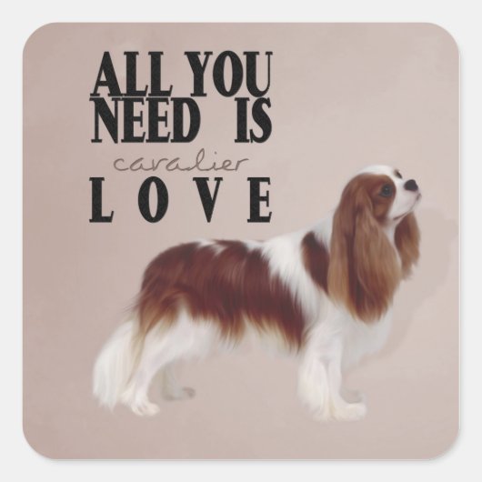 Cavalier King Charles Spaniel Sticker (Voorkant)