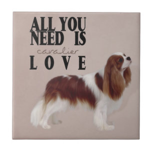 Cavalier King Charles Spaniel Tegeltje