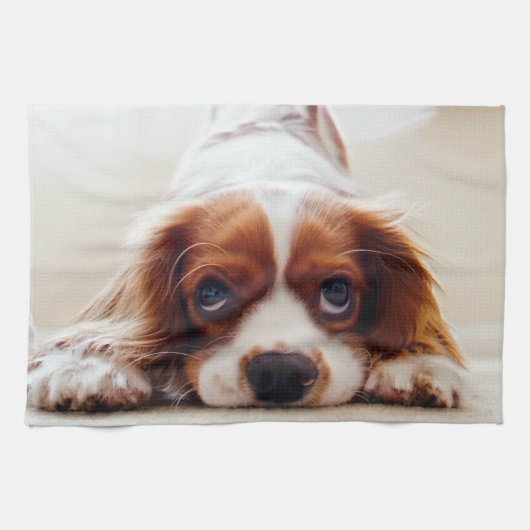 Cavalier King Charles Spaniel Theedoek (Horizontaal)