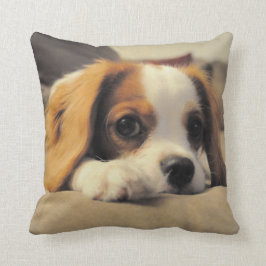 Cavalier King Charles Spaniel Throw Pollow Kussen