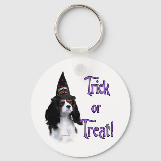 Cavalier King Charles Spaniel Trick Sleutelhanger (Voorkant)