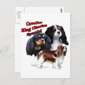 Cavalier King Charles Spaniel Trio 2 Briefkaart (Voorkant / Achterkant)