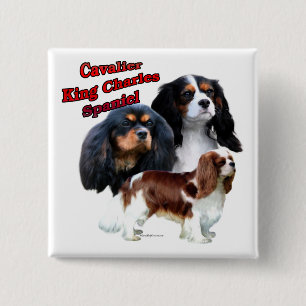 Cavalier King Charles Spaniel Trio 2 - Button