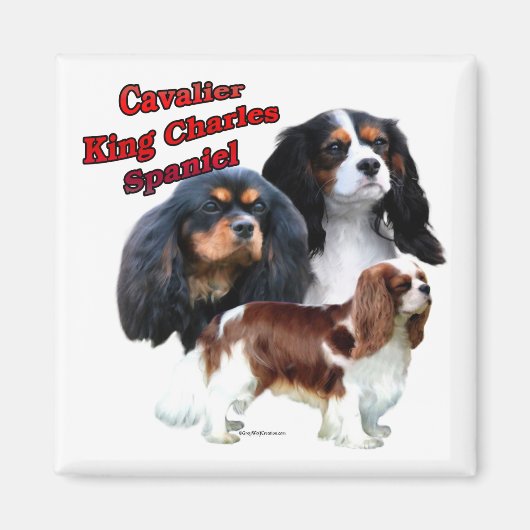Cavalier King Charles Spaniel Trio 2 - Magneet (Voorkant)