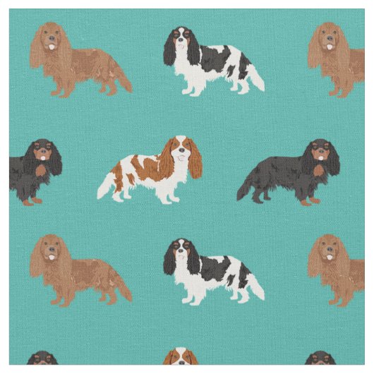 Cavalier King Charles Spaniel turquoise Stof (Close Up)