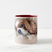 Cavalier King Charles Spaniel Tweekleurige Koffiemok (Center)