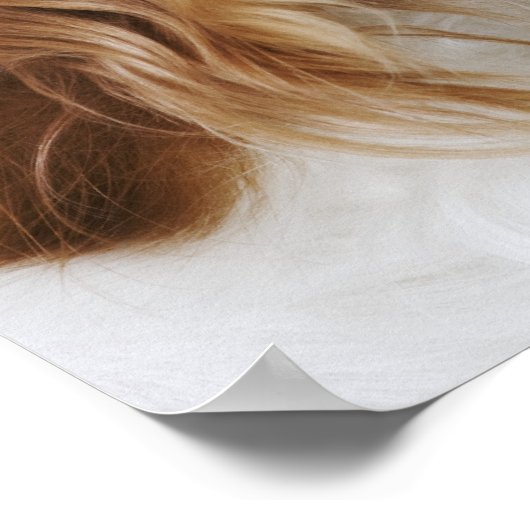 Cavalier King Charles Spaniel, uitzicht zijkant Poster (Hoek)