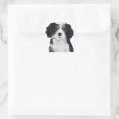 Cavalier King Charles Spaniel Vierkante Sticker (Tas)