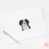 Cavalier King Charles Spaniel Vierkante Sticker (Envelop)