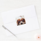 Cavalier King Charles Spaniel Vierkante Sticker (Envelop)