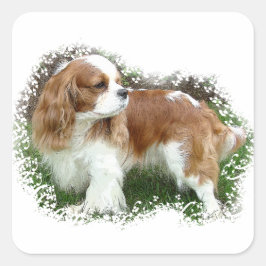 Cavalier King Charles Spaniel Vierkante Sticker
