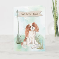 Cavalier King Charles Spaniel Voel Beter Met Hond