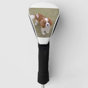 Cavalier-king-charles-spaniel, vol golfheadcover