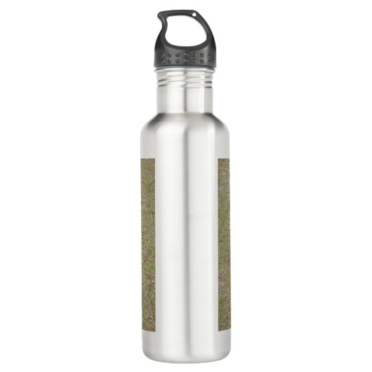 Cavalier-king-charles-spaniel, vol waterfles  (Achterkant)