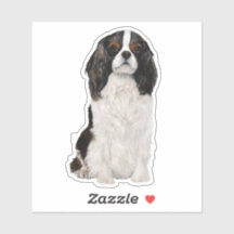 Cavalier King Charles Spaniel Waterverf