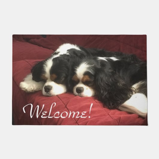 Cavalier King Charles Spaniel Welkomstdeur Mat (Voorkant)