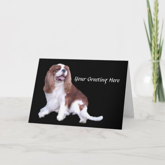 Cavalier King Charles Spaniel Wenskaart Kaart (Voorkant)