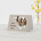 Cavalier King Charles Spaniel Wenskaart Kaart (Gele Bloem)