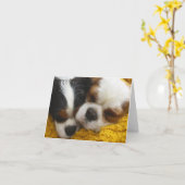 Cavalier King Charles Spaniels Blank Note Card Kaart (Gele Bloem)
