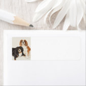 Cavalier King Charles Spaniels schilderij Etiket (Insitu)