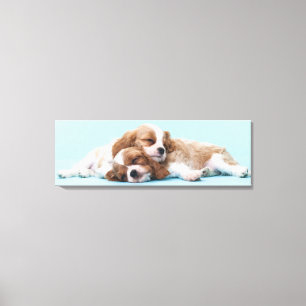 Cavalier King Charles Spaniels Sleeping Canvas Afdruk