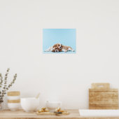 Cavalier King Charles Spaniels Sleeping Poster (Keuken)
