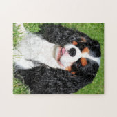 Cavalier King Charles Tri-Color Puzzle Legpuzzel (Horizontaal)