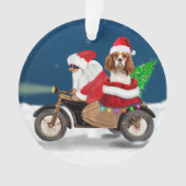 Cavalier King Chien Noël Père Noël (devant)