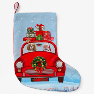 Cavalier King Dog in auto met kerstman Kleine Kerstsok